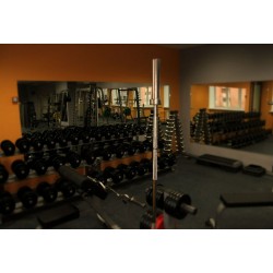 Фитнес-клуб "Body Gym" Фитнес-клуб "Body Gym"