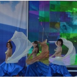 Спортивно-танцевальный клуб "Афродита" Спортивно-танцевальный клуб "Афродита"